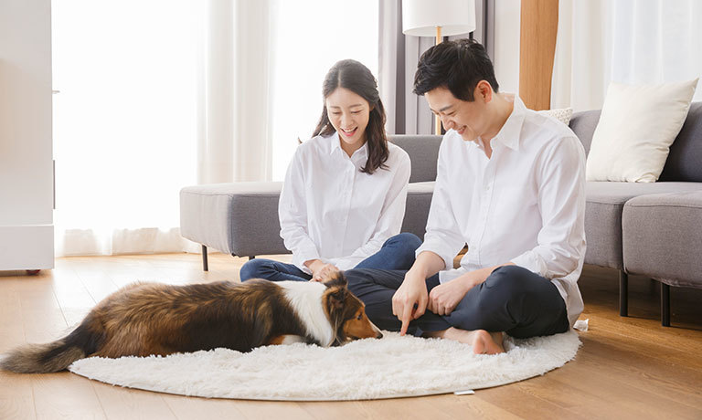 반려동물과 함께 생활하는 펫팸가족 급증<br>반려동물에게도 안전한  매트